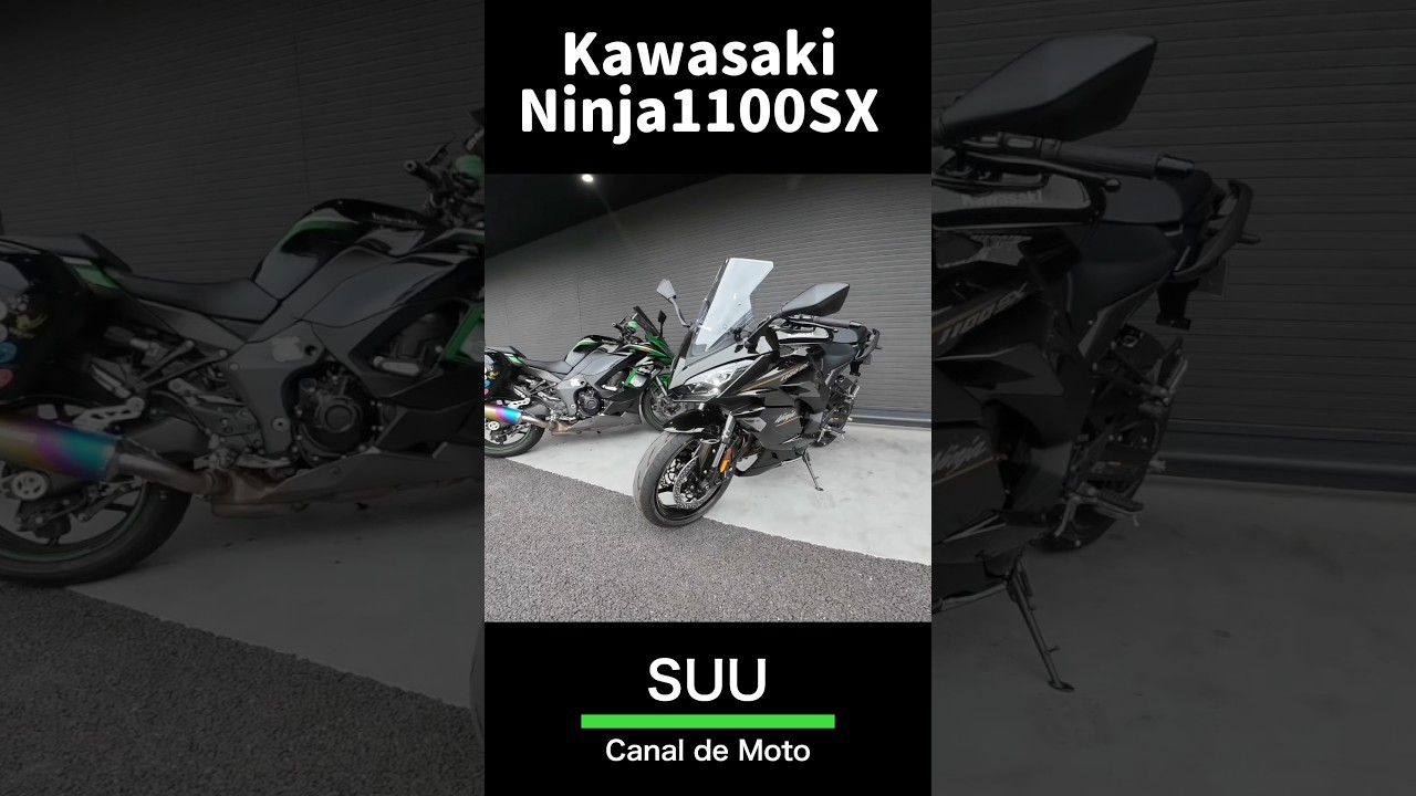 06/03/2026 Kawasaki Ninja 1100SX [Sue Bike Channel] #shorts - YouTube