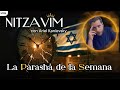 ¿Se puede cambiar el pasado? | NITZAVIM | Parashá de la Semana
