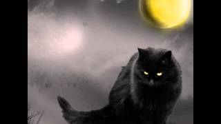 Black Cats － 恋のチャイナ・クラブ - YouTube
