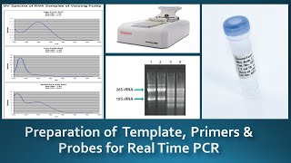 Guidelines for preparation & Handling of Template, Primers & Probes for real time PCR