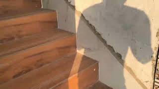 Download lagu LOVE WAALI FEELING | ARIJIT SINGH, VISHAL MISHRA, SACHET-PARAMPARA, JUBIN NAUTIYAL, PAYAL DEV