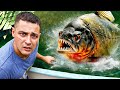 I Got GIANT Pet PIRANHAS