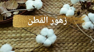 عمل زهور القطن/ DIY Cotton flowers