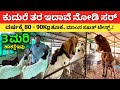 ಕುದುರೆ ತರ ಇದಾವೆ ನೋಡಿ ಸರ್ Goat Farming in Karnataka Farming Business Ideas Kannada goat farm #kannada