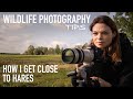 Wildlife Photography Tips - How I Get Close to Hares