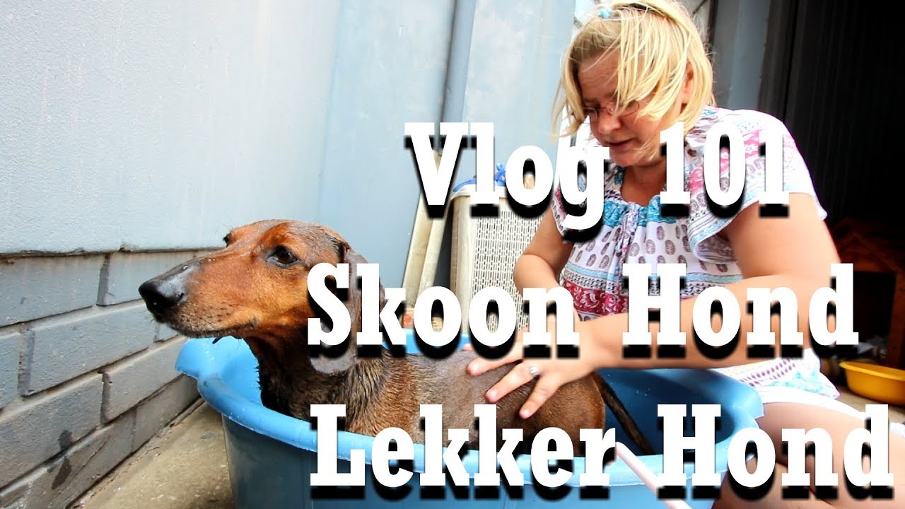 Vlog 101 Skoon Hond Lekker Hond The Daily Vlogger in Afrikaans YouTube