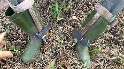 THỰC TẾ. CÁCH SỬ DỤNG GUỐC TRÈO CÂY 2 ĐINH- DỤNG CỤ TRÈO CÂY| AN TOÀN HIỆU QUẢ | LH: 0989.925.892