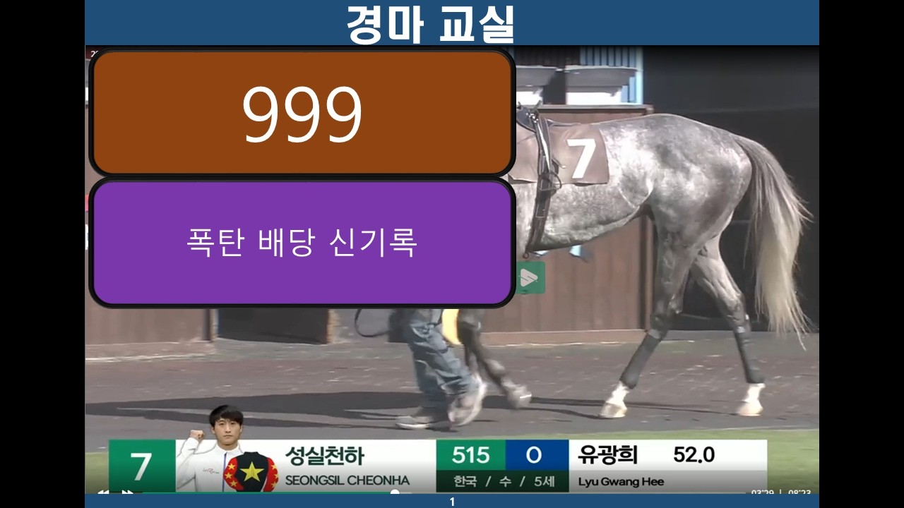999/ 경마교실/ 고배당 /경마분석/ 경마공부/ 경마예상