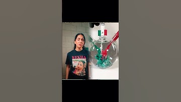 Coke Zero vs. Diet Coke 😅 #komedie #dietcoke #cokezero #skit OG:whoisharjit