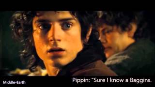 The Fellowship Of The Ring &#39;english subtitles&#39; - Excuse me, that man in the corner, who is he