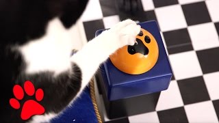 Felix Apresenta A Crunchy Machine