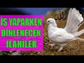 İŞ YAPARKEN DİNLENECEK İLAHİLER 5 🌺 BİR MÜBAREK CUMA GÜNÜ ALLAHIM 🌼 GİDİYORUM MEDİNEYE