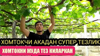 УЗБЕКИСТОНДА ЕНГ ТЕЗКОР ХОМТОК КИЛИШ ИШИНИ КУРИНГ