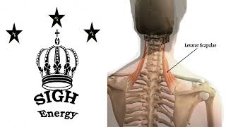 Levator scapulae Healing and Regeneration EXTREMELY POWERFUL!!! (Energetically Programmed