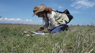 60 Seconds with a Scientist - Briana Pobiner, Paleoanthropologist