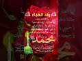 م تباركين بمناسبة مولد النبي الاعظم محمد ص اللهم صل وسلم على نبينا محمد وآل محمد 