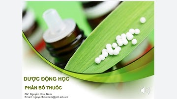DƯỢC ĐỘNG HỌC: PHÂN BỐ, THẢI TRỪ, CHUYỂN HOÁ