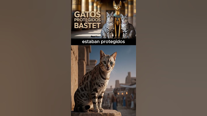 ¿Por qué los egipcios entierran a sus gatos con oro?