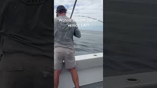 WAHOO FISHING!!! #fishingequipment #fishinggear #funny