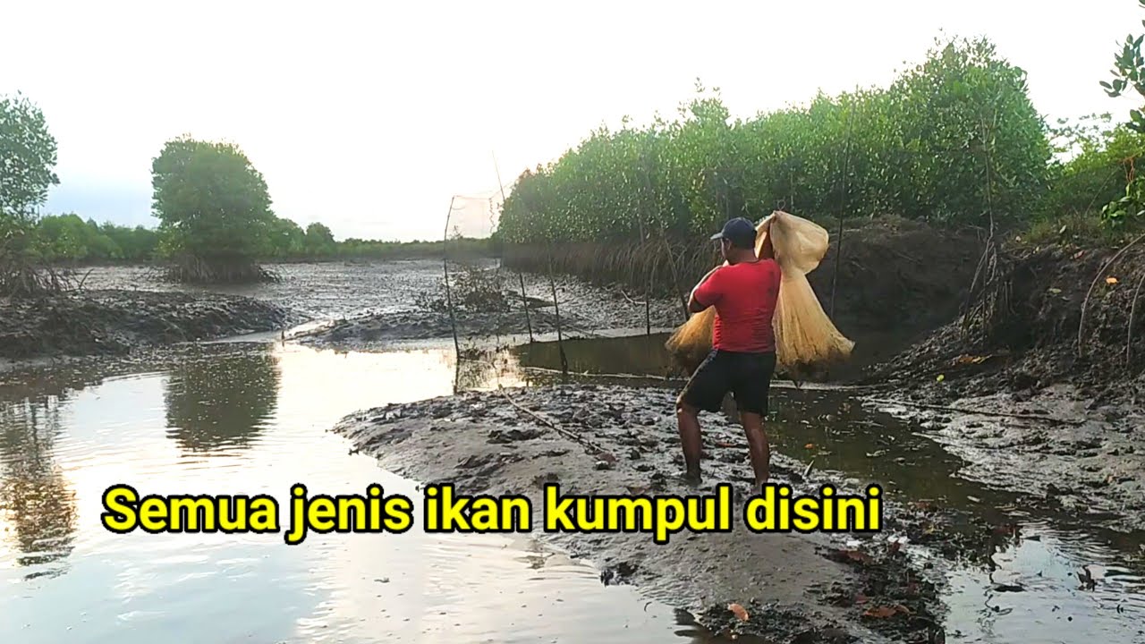 INI BARU PENJALA IKAN YANG BERUNTUNG 