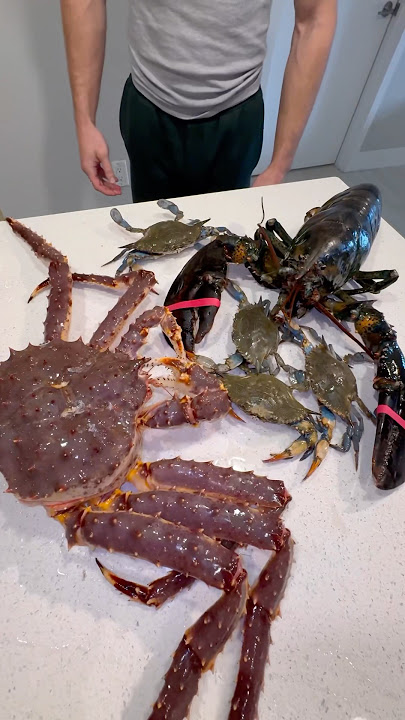 Buying MASSIVE Seafood
