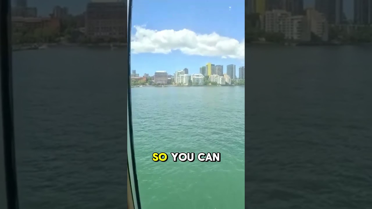 Из какого бара на озере Вестердам открывается лучший вид? 