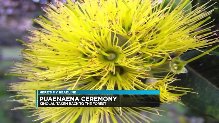 032816 Kekuhi Kanahele Letter