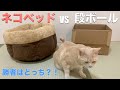 猫ベッドvs段ボール どちらを選ぶか分かりますか？