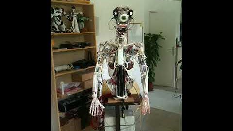 Elastic humanoid robot