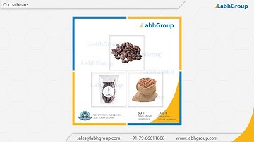 Cocoa beans | Best quality Cocoa beans exporter | Labh Group