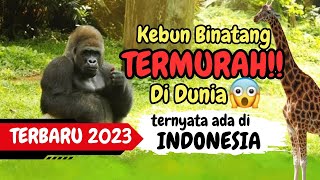 [Full Review] Kebun binatang ragunan 2023 [Ragunan Zoo 2023] Cara masuk Ragunan 2023 Ragunan Terbaru