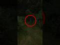 I SAW THE MONSTER #skinwalker