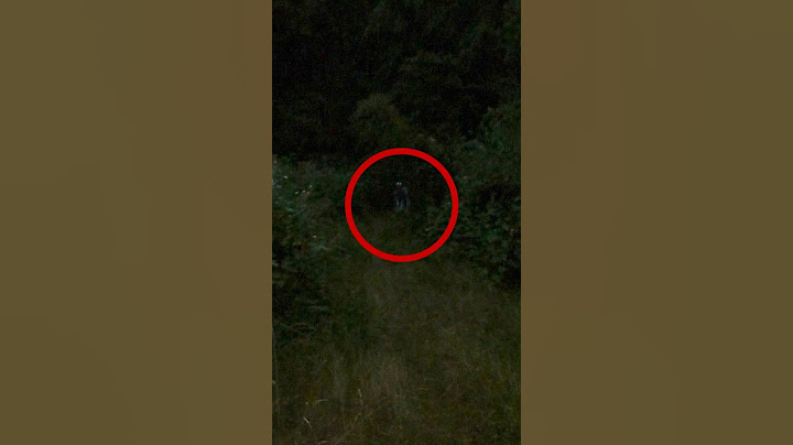 I SAW THE MONSTER #skinwalker