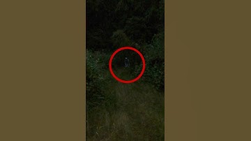 I SAW THE MONSTER #skinwalker