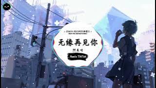 无缘再见你 (抖音DJ版) - 阿美呀「房间里堆满昨夜的叹息，心事凉在咖啡第三杯里。」♪ || 年度最佳抖音歌曲 | 最火最热门洗脑抖音歌曲  | 抖音 | TikTok Douyin ♪