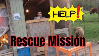 Rescuing My Mother In Law! | & Back in the garden day 5