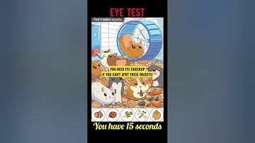 Spot the Hidden Objects🐀 #shorts #challenge #games