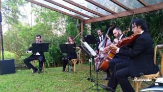 Dog days are over - Florence and the Machine - Musiccata - Coral e Orquestra