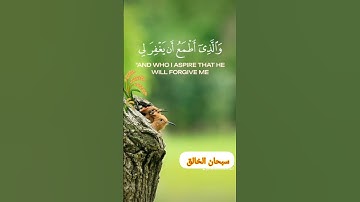 تلاوة رائعة من سورة الشعراء 🤲🌸💞