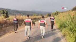 Ekonomist Korhan Berzeg 77 Gündür Kayıp Arama Çalışmalarına Köpeği Tina Da Katıldı