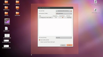Basics of BitTorrent (Linux/Windows/Mac)