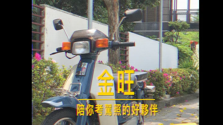 金旺，陪你考驾照的好伙伴 - 天天要闻