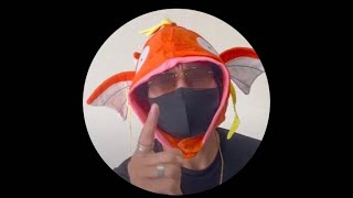 コイキングなかで〜名古屋プロナンパ師〜【人類史上初ライブ中にコイキング被ったままお持ち帰りした男】の配信のサムネイル画像