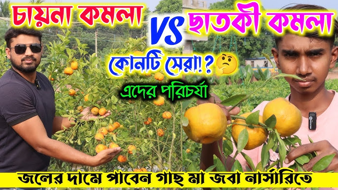 Ajoyib cumshot VKontakte pornosida tola qizlar