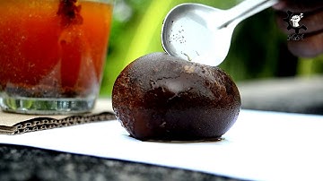 EGG in COCA COLA for 1 Year Experiment(TRUTH REVEALED)