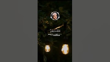 #المنشاوي #محمد_صديق_المنشاوي #تلاوات #القرآن_الكريم #قرآن #تلاوة_خاشعة #آيات #قران #تلاوة  #quran