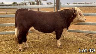 Lambert 2026 Lot 40