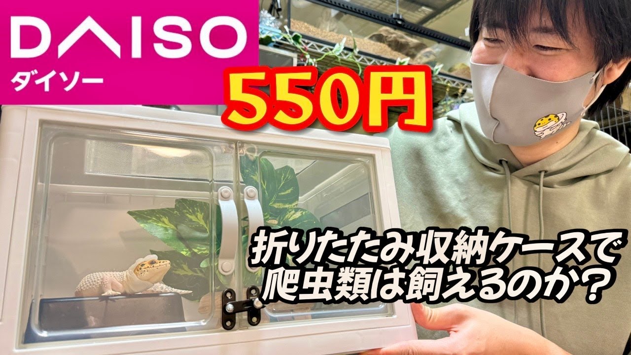 Daiso] Can a 100-yen store folding storage case be used as a