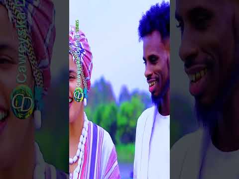 Dhaanto Cusub Shabeele Idil Ayruush 2025 