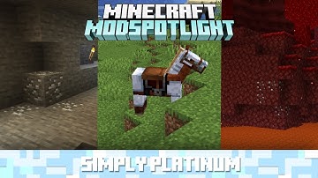 Simply Platinum | 1.16.4 Mod Spotlight